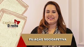 Explica Direito Filiação Socioafetiva  2019 [upl. by Arihk]