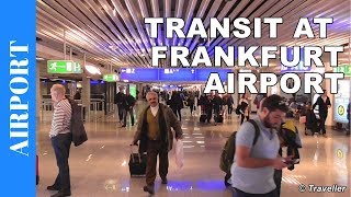 TRANSIT WALK AT FRANKFURT Airport FRA Terminal 1  Connection Flight Transfer Arriving amp Departing [upl. by Sarkaria]